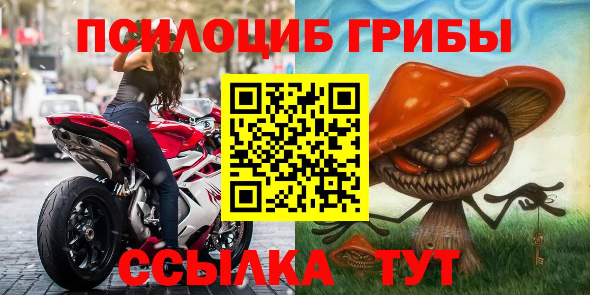 Котовск  Псилоцибиновые грибы MAGIC MUSHROOMS  Вход с VPN 